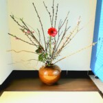 まさかの組み合わせにより
各々の持ち味が引き立った。
自分だけでは直立し続けるのが
困難なガーベラも、南天の
支えがあれば立派な主役となる。